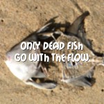 Picture of dead fish with the quote: "Only dead fish go with the flow"