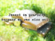 Books in grass. Quote text saying: "Invest in yourself, because no one else will.."
